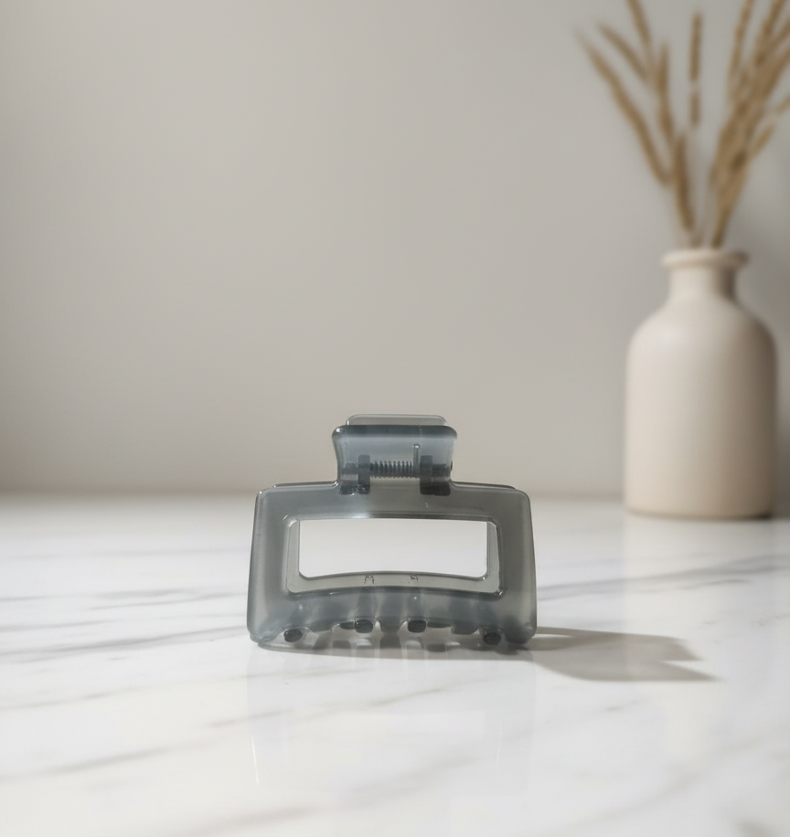 Chic Mid-Sized Hair Clips clutcher