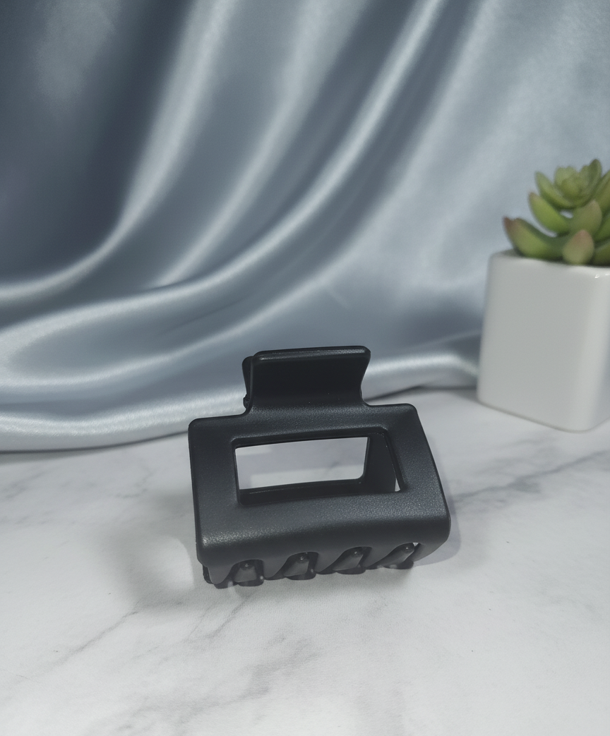 Chic Mid-Sized Hair Clips clutcher