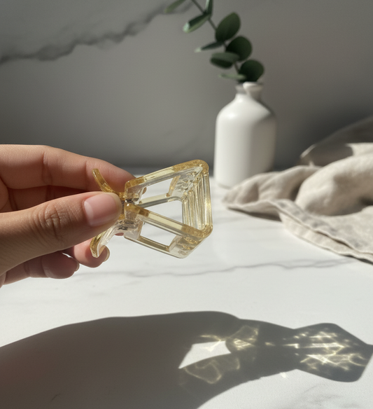 Chic Mid-Sized Hair Clips clutcher
