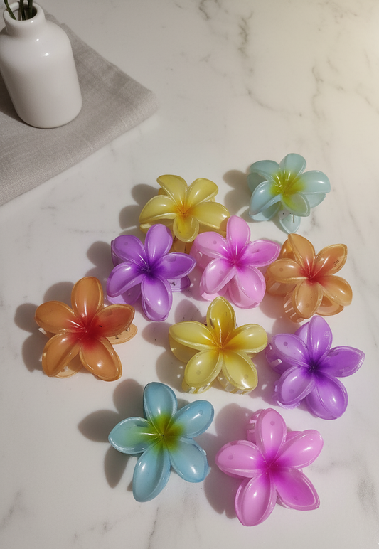 Flower Hair Clutchers Combo  in Trendy Multicolor